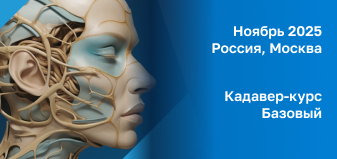 Анатомический курс: Базовый
